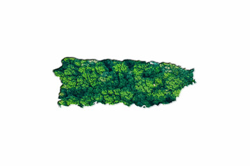 Green Forest Map of Puerto Rico