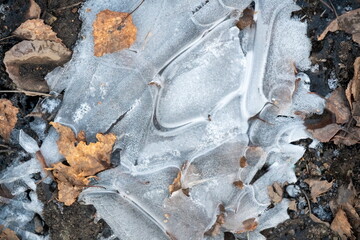 Natural pattern of ice and dry birch leaves on the ground in late autumn.