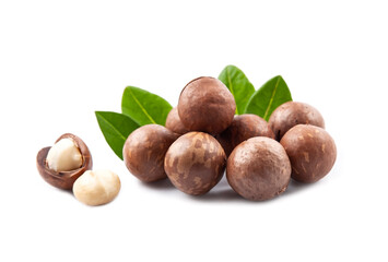 Macadamias nuts with leaves