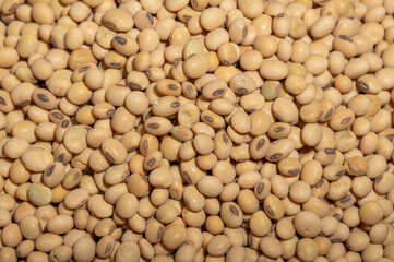 Soybeans placed in a bowl or plate are on the wood grain table