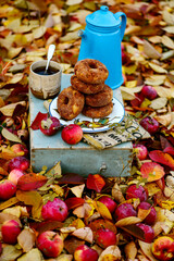 Apple cider donuts in the autumn garden