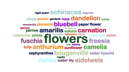 Flowers Word Cloud Jumbled On White Background