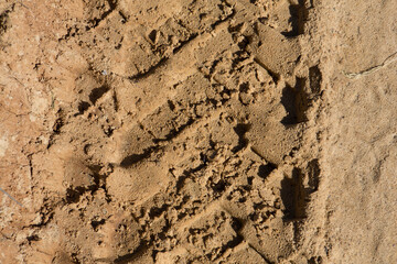 detailed filled frame background close up shot of car tire tracks, prints and marks on a muddy dusty sand road surface
