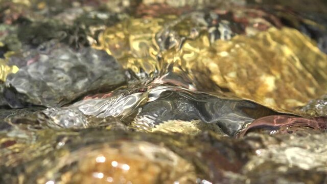 Mountain River, Clear Spring Fresh Water, Transparent Alpine Stream Waves, Crystalline Brook Closeup, Crystal Waterfall Drops