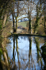 Fototapeta na wymiar Reflections of Trees in Canal