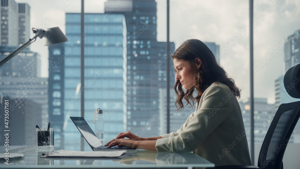 Poster portrait of young successful businesswoman sitting at desk working on laptop computer in city office