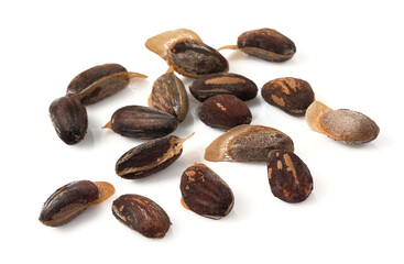 pine nuts isolated on white background