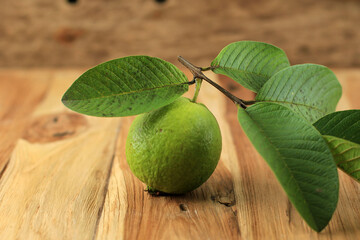 Fresh Picked Guava and Leaves (Jambu Biji Merah) or Psidium guajava, Isolated on Wooden Table.