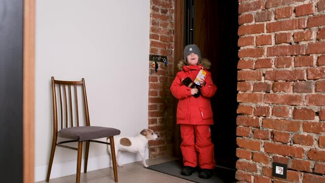 Cute Family Son And His Father Come Into Apartment, They Are Met By A Pet Winter. Jack Russell Terrier Dog Is Waiting At The Door Of Owners And Rejoices