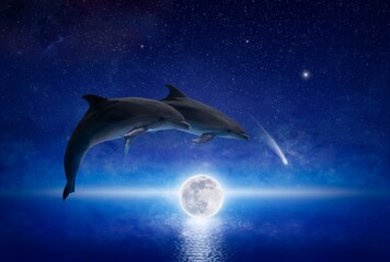 Two dolphins leap across glowing full moon that hovers low above serene sea. There are bright stars...