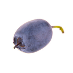 single fresh blueberry isolated on white