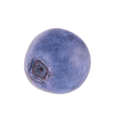 single fresh blueberry isolated on white