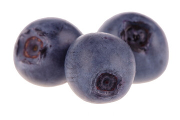 three blueberries isolated on white