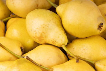 heap of fresh yellow pears background