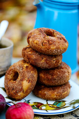 Apple cider donuts in the autumn garden