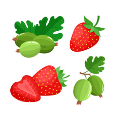 Cartoon bright natural strawberries and gooseberries isolated on white.