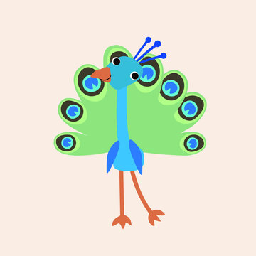 Vector isolated illustration with cute peacock in flat simple style on beige background. Children's bright color picture, hand-drawn print. A collection of cartoon kind, funny, smiling bird.