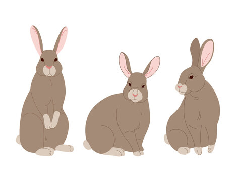 Vector set of cute rabbits in cartoon style. Bunny pet silhouette in different poses.