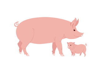 Farm Animal Pig with Funny Piggy. Little Piglet. Vector illustration Set.