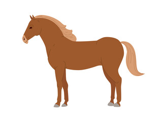 Brown horse on a white background. Flat vector illustration.