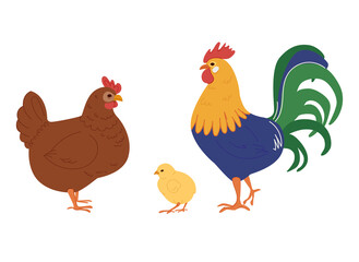 Set of chicken, rooster. Flat vector illustration isolated on white background