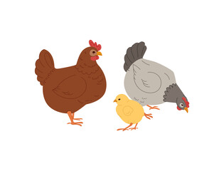 A set of domestic hens, roosters and chickens of different colors and breeds.