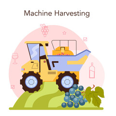 Obraz na płótnie Canvas Wine production. Grape selection, cultivation and harvesting. Alcohol drink