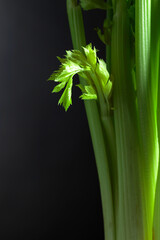 Fresh celery sticks.