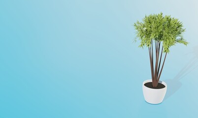 background potted plant 3d rendering illustration