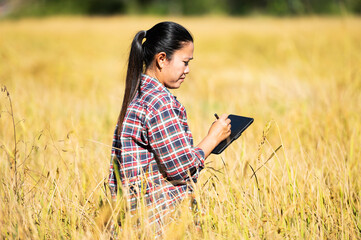 Asian woman farmer using tablet in her rice field farming technology concept in warm days modern agriculture concept