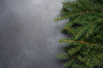 Fir tree branches on black background with copy space. Winter seasonal top view background