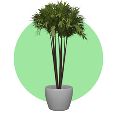 potted plant icon 3d rendering illustration