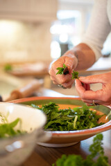 Salat aus frischen Kräutern.