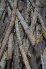 Pile of fine cut wood