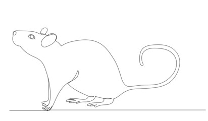 mouse, continuous line drawing, sketch