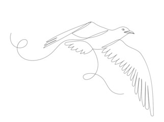 bird flying, continuous line drawing, sketch, vector