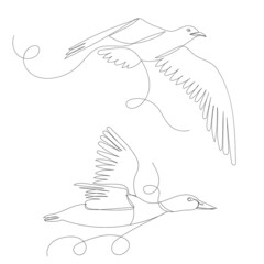 birds flying, continuous line drawing, sketch, vector