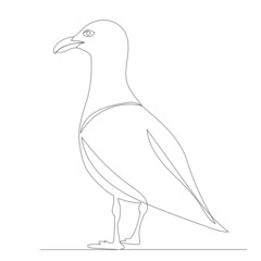 seagull, continuous line drawing, sketch, vector