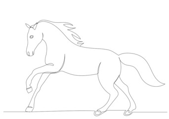horse, continuous line drawing,  vector