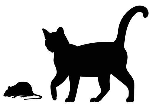 silhouette of a cat and mouse on a white background, isolated, vector
