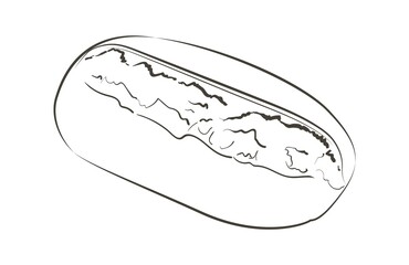 Vector loaf of bread. Rye rustic bread or whole grain baked bread. Logo, icon. Sketch realistic line vintage illustration