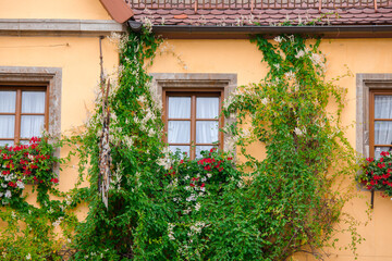 Fototapeta na wymiar Germany, Rothenburg, fairy tale town, home, windowsill
