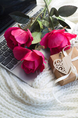 Obraz na płótnie Canvas three bright pink roses, a gift box, a wooden heart, a laptop on the background of a white knitted scarf. a gift with love. romantic background, valentine's day card. congratulations on March 8. 