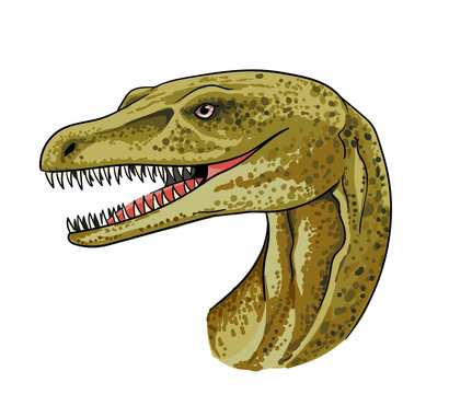 Drawing plesiosaurus head, art.illustration, vector