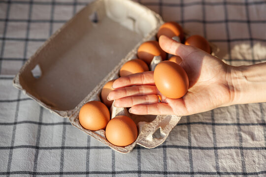 Chicken Brown Eggs Are In A Cardboard Box Bought At A Grocery Store. Healthy Breakfast. A Tray For Carrying And Storing Fragile Eggs. Woman Takes One Egg Out Of The Package With Her Hand