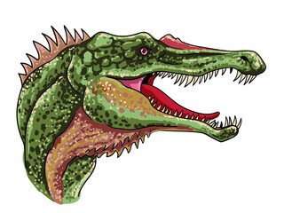 Drawing baryonix head, art.illustration, vector