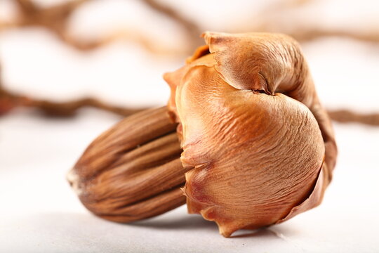 Sun Dried Young Coconuts- Old Age ,premature , Healthcare Abstract Concepts.