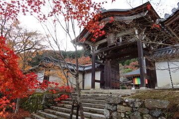 Kara-mon Gate and autumn leaves in the precincts of Nison-in Temple at Sagano in Kyoto City in Japan 日本の京都市嵯峨野にある二尊院境内の唐門と紅葉