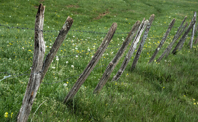 Piquets de clôture ancienne à Saint-Alban, Ain, France