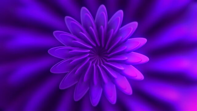Extraterrestrial lilac shape of a flower with changing petals, seamless loop. Motion. Alien blossoming symmetrical flower.